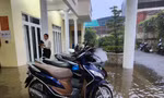 Ngập trụ sở UBND quận, hầm chui ở TPHCM sau mưa lớn: Chủ tịch UBND quận nói gì? 