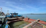 Cảnh sát biển bắt quả tang tàu đang hút cát trái phép 