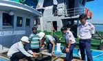 Cảnh sát biển phát hiện tàu chở 80.000 lít dầu DO không rõ nguồn gốc 