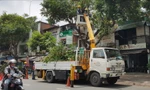 Sở GTVT TPHCM yêu cầu tỉa cây xanh, bảo dưỡng đường tránh giờ cao điểm