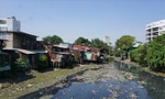 Bao giờ TPHCM khởi công cải tạo Rạch Xuyên Tâm?