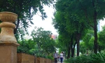  Nhìn gần công viên sẽ trở thành vườn nghệ thuật giữa trung tâm TPHCM