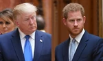 Nguy cơ của Harry khi ông Trump trở lại Nhà Trắng