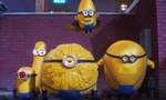 Bất chấp bị chê ngớ ngẩn và xếp loại cà chua thối, quân đoàn Minions vẫn càn quét phòng vé toàn cầu