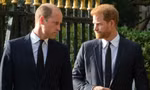William đã nhắc đến Harry