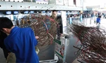Vắng khách, hàng không kiêm buôn đào, mai Tết