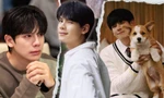 Mỹ nam "Lật Mặt 7": Học bá với giao diện chàng thơ, người quen trên phim VTV