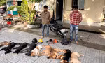 Bắt băng trộm chó ném ớt bột vào công an 