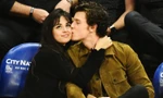 Shawn Mendes và Camila Cabello suýt xảy ra "chiến tranh lạnh" chỉ vì... một hộp sữa chua