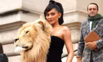 Sao nữ vừa "truất ngôi" Kylie Jenner khỏi danh hiệu "Nữ hoàng Instagram" là ai?
