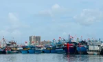 Khánh Hòa, Phú Yên kêu gọi tàu thuyền vào bờ tránh áp thấp nhiệt đới