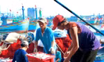 Truy xuất nguồn gốc thủy sản khai thác điện tử, cơ hội gỡ ‘thẻ vàng’ IUU