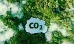 Đề xuất lập sàn giao dịch tín chỉ carbon quốc gia 