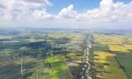 Phải đảo ngược 'vòng xoáy định mệnh' về kinh tế ĐBSCL