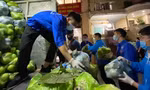 Tuổi trẻ Thủ đô tiêu thụ nông sản cho người dân Hải Dương