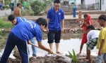 Sinh viên ĐH Tây Đô trồng dừa trên tuyến đường vào Nhà máy điện gió Bạc Liêu