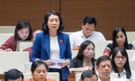 Bịt khoảng trống pháp lý đối với các dự án đầu tư nước ngoài