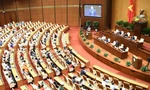 Thiếu thuốc, tăng lương, điều hành xăng dầu: Nhiều vấn đề nóng được Quốc hội thảo luận 