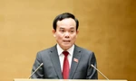 Phó Thủ tướng Trần Lưu Quang: Tập trung hoàn thiện kế hoạch thực hiện Quy hoạch Điện VIII