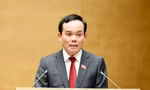 Phó Thủ tướng Trần Lưu Quang: Tập trung hoàn thiện kế hoạch thực hiện Quy hoạch Điện VIII