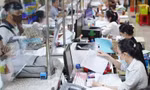 Tập trung giải quyết chính sách nghỉ trước tuổi với 4 nhóm cán bộ, công chức 