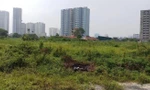 Xin đất rồi 'sang tay' hưởng chênh lệch khiến dự án treo