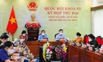 Đoàn đại biểu TPHCM họp Quốc hội trực tuyến do có trường hợp F0