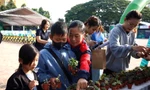 Náo nức đổi pin, chai nhựa lấy cây xanh