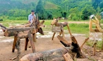 Không gian xanh nhờ thùng rác hình thú ngộ nghĩnh của thanh niên vùng sâu