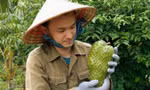 Chàng trai Đắk Lắk là gương thanh niên kinh doanh giỏi, được nhận giải thưởng Lương Định Của