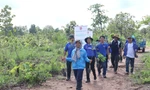 Giúp thanh niên dân tộc thiểu số tiếp cận pháp luật và nguồn vốn