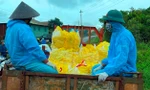 Tình nguyện viên chở quà trung thu trao cho thiếu nhi buôn phong tỏa