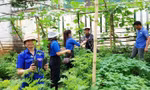 Tuổi trẻ Đắk Lắk tô thêm sắc xanh bảo vệ môi trường
