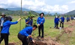 Tuổi trẻ Đắk Lắk bảo vệ môi trường