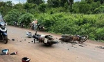 Hai xe máy chạy ngược chiều tông nhau, 3 người thương vong 