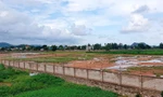 Thanh Hóa 'bêu tên' gần 70 dự án vi phạm luật đất đai