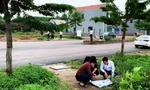 Nhà đầu tư ồ ạt bỏ cọc sau khi đấu giá đất ở mức 'trên trời'