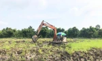 Đồng Tháp và Long An được chuyển mục đích sử dụng đất lúa diện tích lớn