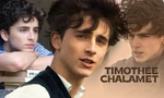 Điển trai, tài năng, chăm chỉ: Timothée Chalamet xứng đáng có triệu người yêu thương