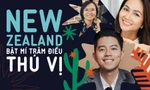 1000 quà tặng đặc biệt đính kèm Hoa Học Trò 1365: Khám phá New Zealand trong tầm tay