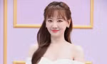 Sang Hàn Quốc hoạt động chưa bao lâu, Hari Won nhận ngay giải thưởng đặc biệt này khiến V-net hết lời khen ngợi