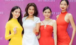 Dàn ‘mỹ nhân’ đình đám bậc nhất showbiz Việt hội ngộ trong cùng khung ảnh, ‘đọ sắc’ không góc chết