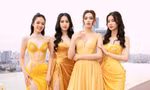 Top 3 'Người đẹp Tài năng' chung khung hình với Hoa hậu Đỗ Thị Hà: Nhan sắc, thần thái có đọ lại?