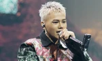 ‘Tân binh nhạc Việt’ Young Bi chơi ‘tất tay’ trong sự nghiệp khiến nhiều ‘sao Việt’ bất ngờ