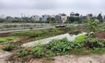 Một khu đất đấu giá tại huyện Đan Phượng, Hà Nội