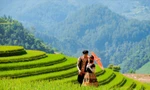 Mù Cang Chải là điểm đến hút khách khi tiết trời vào thu Ảnh: PV