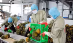 Nhiều thách thức với xuất khẩu của Việt Nam năm 2022. Ảnh: Phạm Anh 