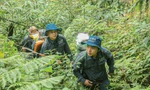 Đội tuần tra, tháo gỡ bẫy xuyên rừng sâu, vượt thác Ảnh: Duy Quốc