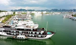 Quảng Ninh không cấp phép hoạt động cho hơn 170 tàu du lịch 