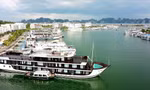 Quảng Ninh không cấp phép hoạt động cho hơn 170 tàu du lịch 